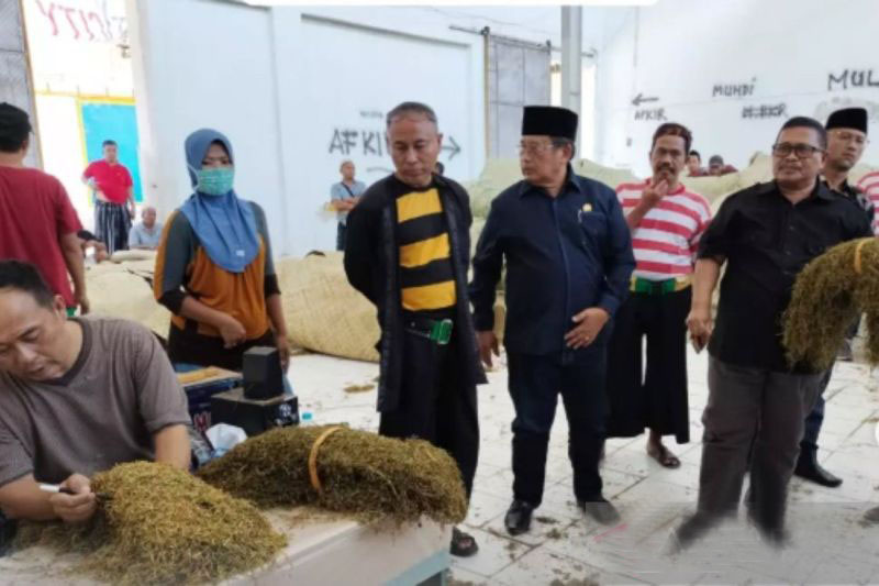 Disperindag Pamekasan bantu terbitkan NIB bagi pelaku usaha tembakau Disperindag Pamekasan bantu terbitkan NIB bagi pelaku usaha tembakau