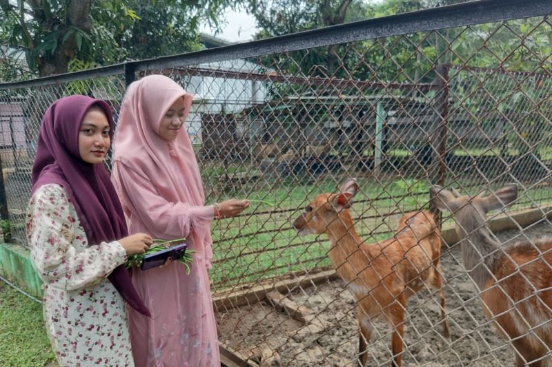 Semarang Zoo dapat tambahan tiga jenis koleksi satwa