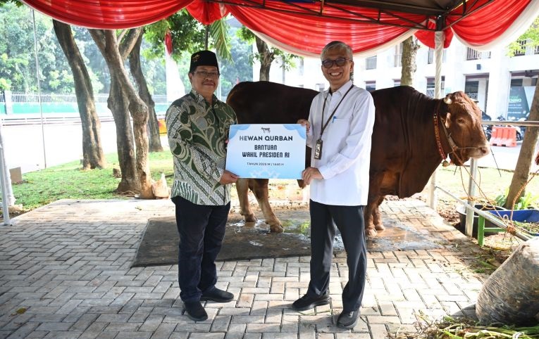 Wapres Gibran salurkan sapi limousin seberat 1,1 ton ke Istiqlal Wapres Gibran salurkan sapi limousin seberat 1,1 ton ke Istiqlal