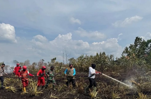 BPBD Kalbar: Karhutla meluas di jalur menuju Bandara Singkawang BPBD Kalbar: Karhutla meluas di jalur menuju Bandara Singkawang