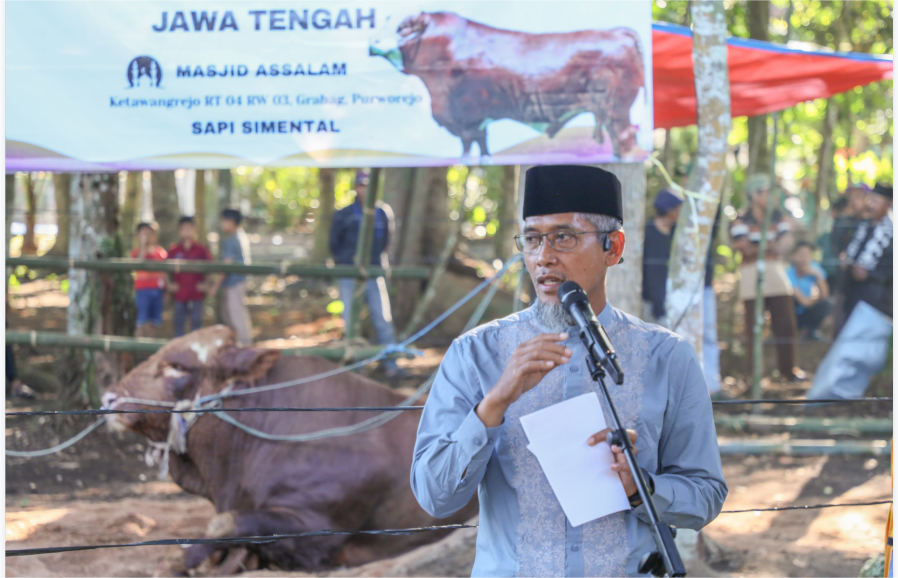 36 sapi kurban Presiden RI dibagikan kepada pemprov Jateng