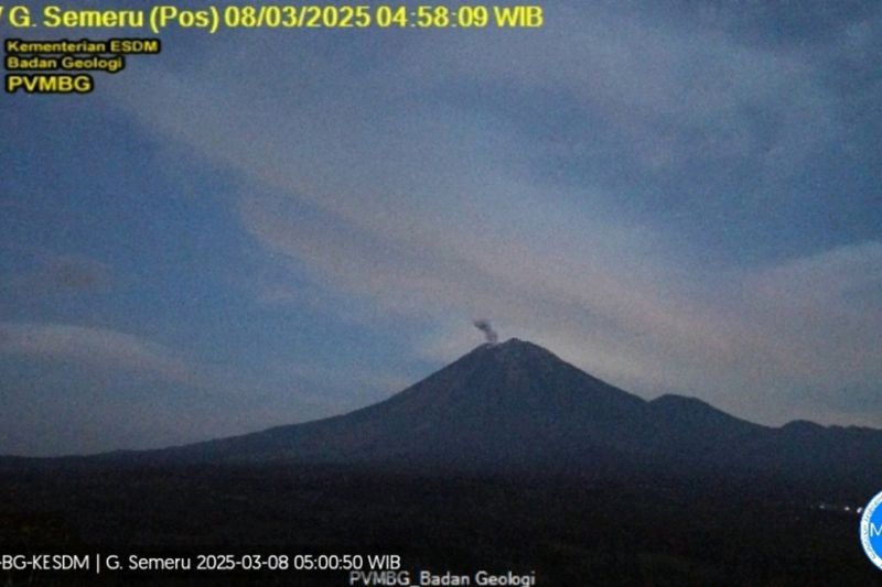 Semeru empat kali erupsi dengan tinggi letusan hingga 700 meter Semeru empat kali erupsi dengan tinggi letusan hingga 700 meter