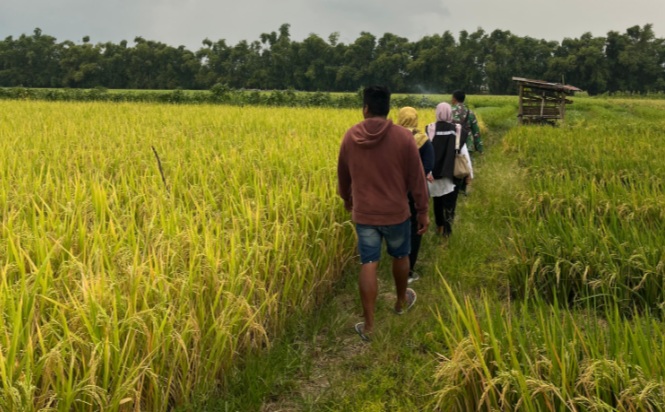 Jaga stabilitas harga di tingkat petani, Bulog Kediri genjot penyerapan gabah kering panen Jaga stabilitas harga di tingkat petani, Bulog Kediri genjot penyerapan gabah kering panen