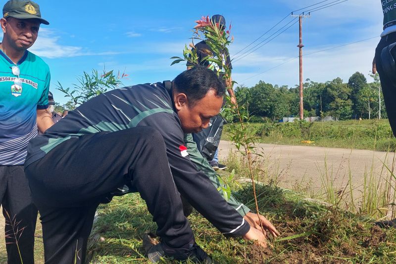 DLHKP Papua Barat Daya tanam 100 pohon semarakkan HBR