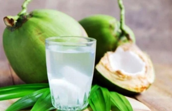 Anjuran minum air kelapa saat berbuka untuk cegah dehidrasi Anjuran minum air kelapa saat berbuka untuk cegah dehidrasi