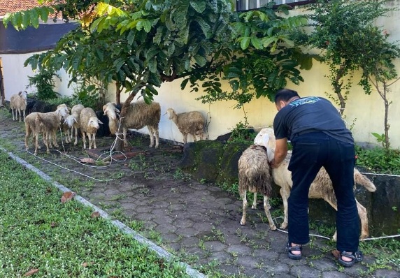 Komplotan spesialis pencuri kambing lintas kabupaten dibekuk Polres Kudus Komplotan spesialis pencuri kambing lintas kabupaten dibekuk Polres Kudus