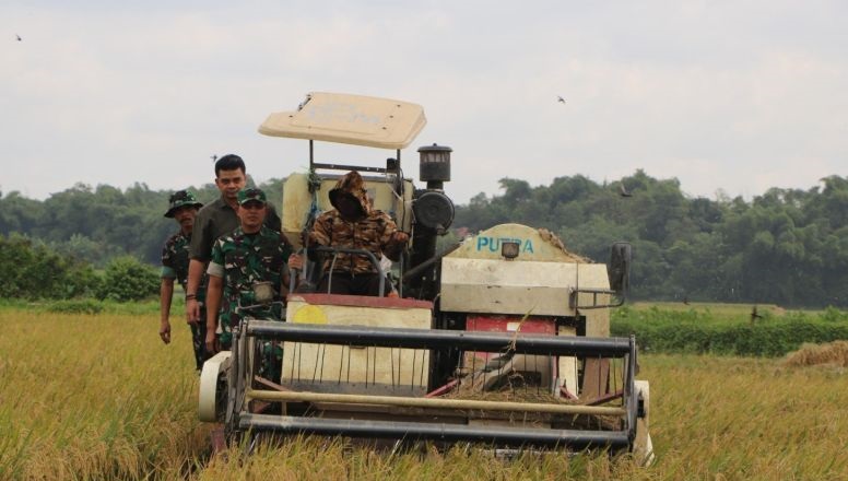 Kiprah prajurit wujudkan petani sejahtera