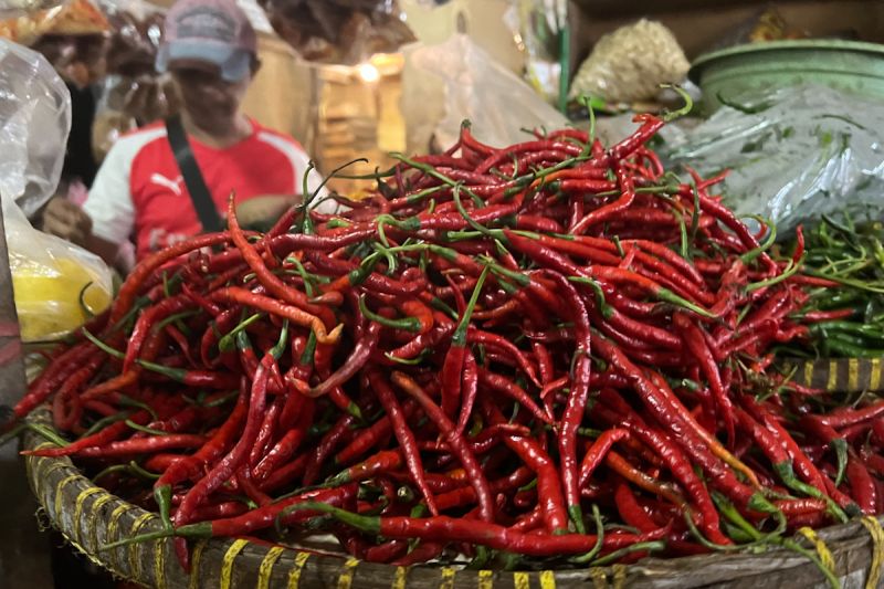 PIHPS: Harga bawang merah Rp46.050/kg dan cabai rawit Rp88.450/kg PIHPS: Harga bawang merah Rp46.050/kg dan cabai rawit Rp88.450/kg