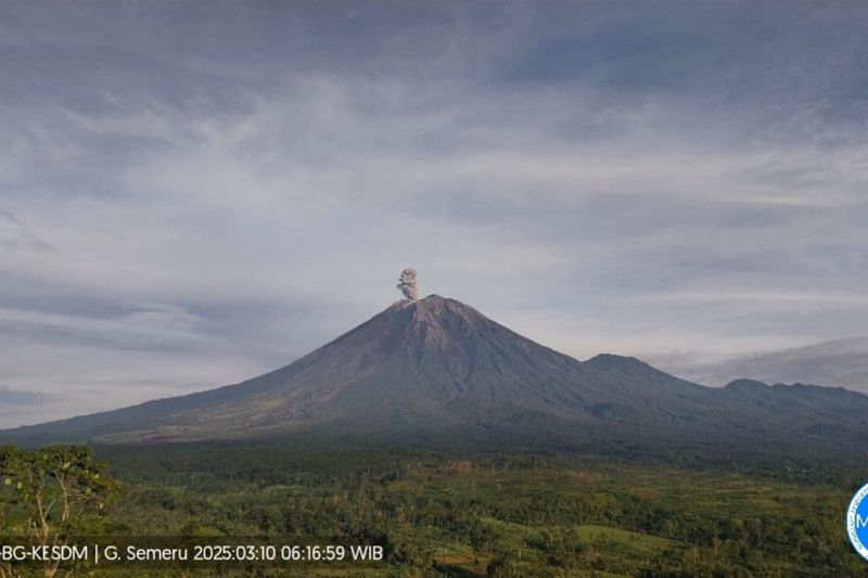 Semeru beberapa kali erupsi dengan tinggi letusan hingga 1.100 meter Semeru beberapa kali erupsi dengan tinggi letusan hingga 1.100 meter