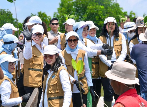 Istri Mensos Gus Ipul dukung pemberdayaan Komunitas Mangrove