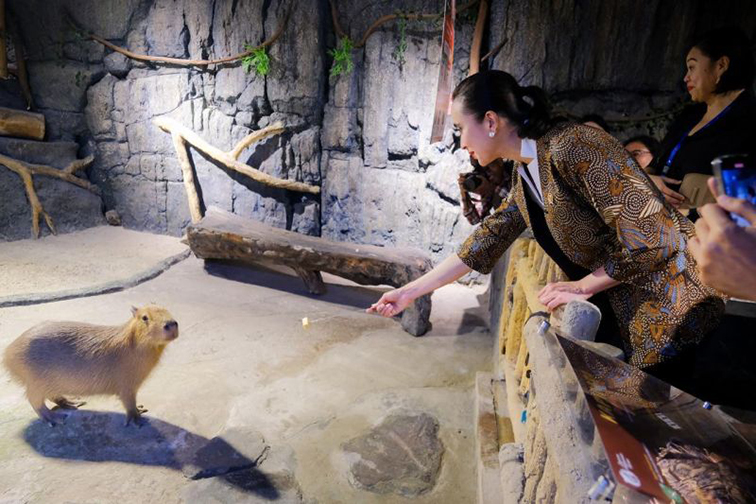 Kemenpar pastikan Jakarta Aquarium Safari siap terima wisatawan