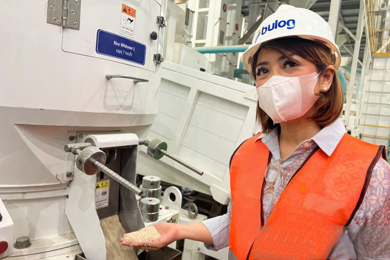 PCO: Pemerintah investasi Rp16,6 triliun ke Bulog sejahterakan petani PCO: Pemerintah investasi Rp16,6 triliun ke Bulog sejahterakan petani