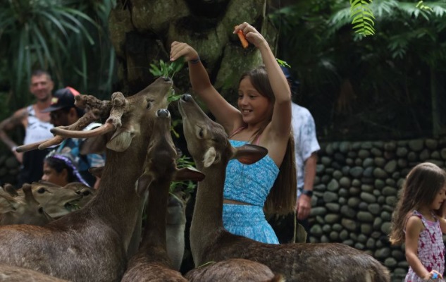Bali Zoo semarakkan libur Lebaran dengan 10 aktivitas ramah keluarga Bali Zoo semarakkan libur Lebaran dengan 10 aktivitas ramah keluarga