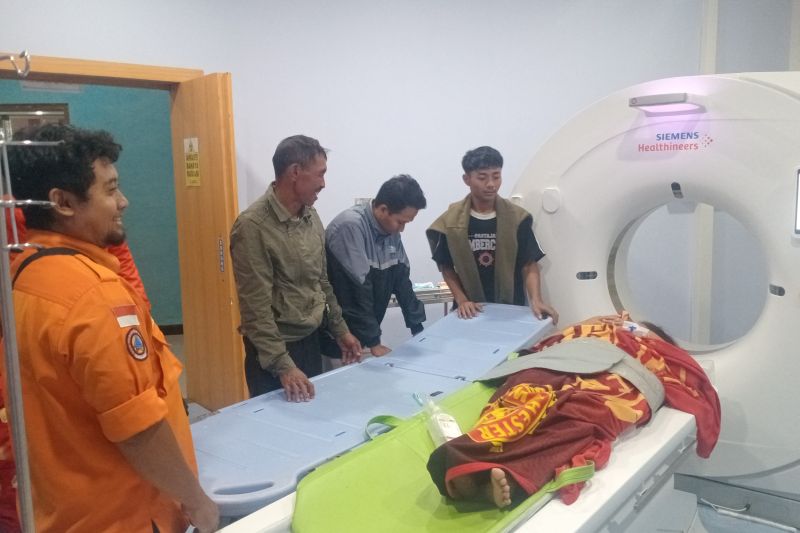 Satu korban terluka akibat tertimpa pohon saat angin kencang di Jember Satu korban terluka akibat tertimpa pohon saat angin kencang di Jember