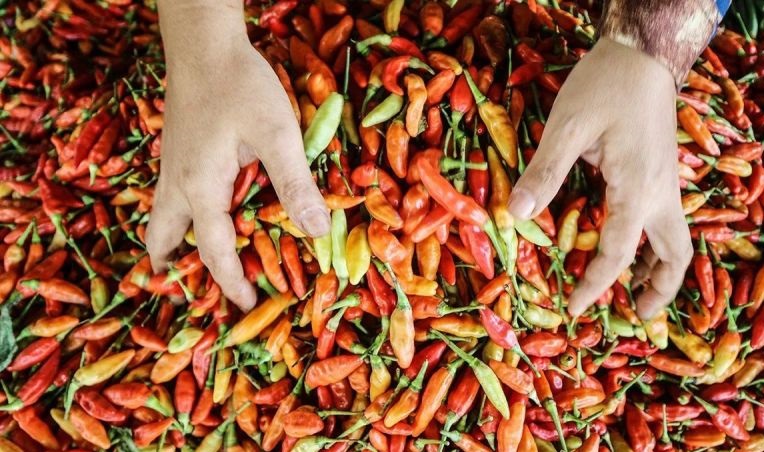PIHPS: Harga cabai rawit Rp89.200/kg, bawang merah Rp45.550/kg PIHPS: Harga cabai rawit Rp89.200/kg, bawang merah Rp45.550/kg