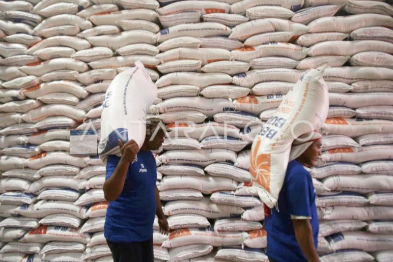 Bulog Kotim siapkan operasi pasar murah cegah lonjakan harga Bulog Kotim siapkan operasi pasar murah cegah lonjakan harga