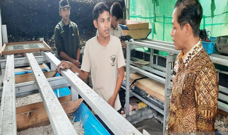 Menteri LH puji budidaya maggot atasi sampah Pasar Bauntung
