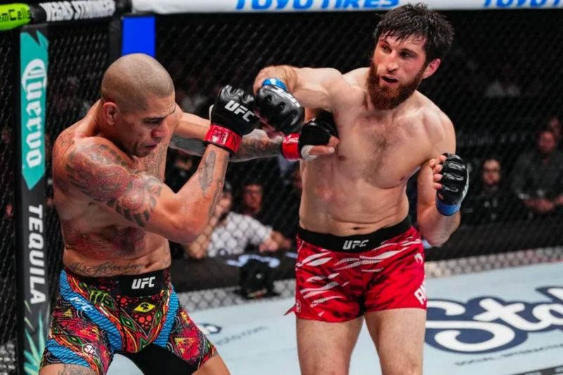 Magomedov Ankalev tak bisa berkata-kata usai rebut juara di UFC 313