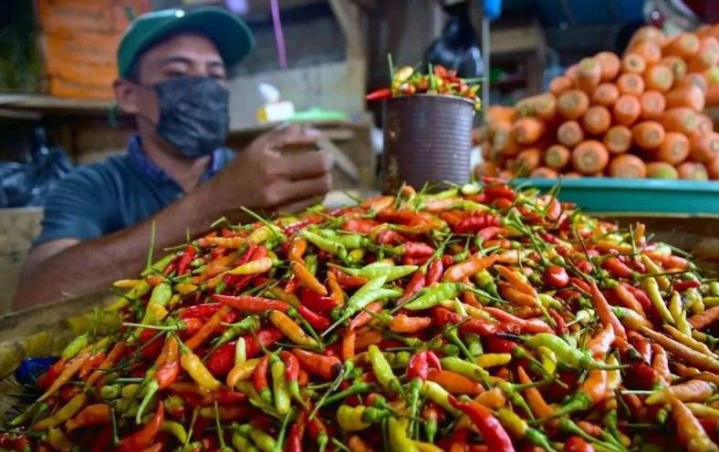 PIHPS: Harga cabai rawit Rp97.450/kg, telur ayam Rp30.200/kg