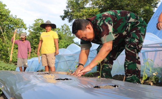 Lanud Silas Papare tanam benih cabai bersama masyarakat petani Lanud Silas Papare tanam benih cabai bersama masyarakat petani