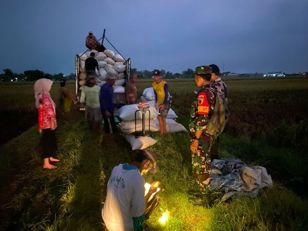 BULOG Kediri serap gabah & beras petani, tertinggi di Jawa Timur BULOG Kediri serap gabah & beras petani, tertinggi di Jawa Timur