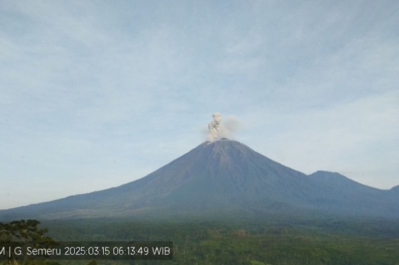 Semeru erupsi tiga kali dengan tinggi letusan hingga 800 meter Semeru erupsi tiga kali dengan tinggi letusan hingga 800 meter