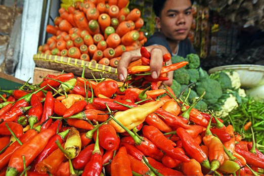Disperindag Banten telusuri penyebab lonjakan harga cabai rawit Disperindag Banten telusuri penyebab lonjakan harga cabai rawit