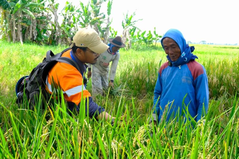 WPI komitmen dukung program swasembada pangan WPI komitmen dukung program swasembada pangan