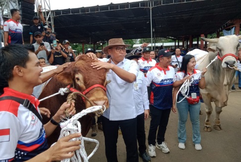 Jelang Idul Adha, APPSI gelar kontes sapi di lereng Merapi Jelang Idul Adha, APPSI gelar kontes sapi di lereng Merapi