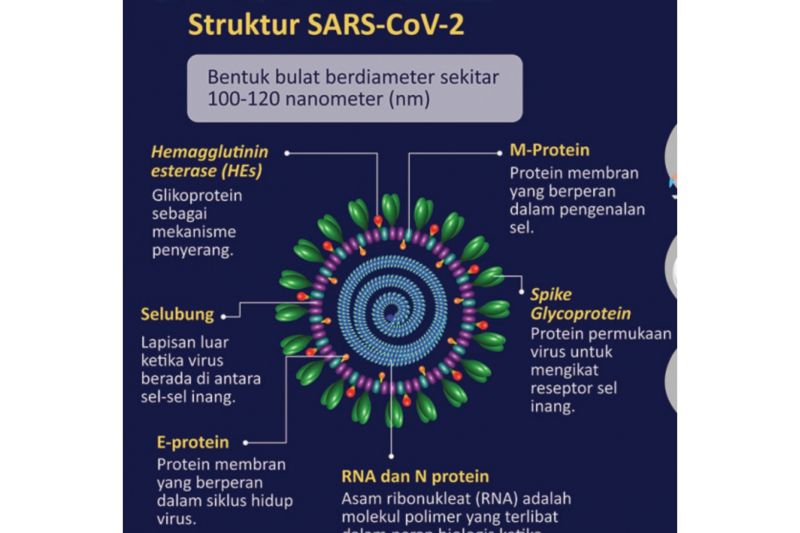 Kemenkes imbau jamaah haji waspadai penularan MERS-CoV Kemenkes imbau jamaah haji waspadai penularan MERS-CoV
