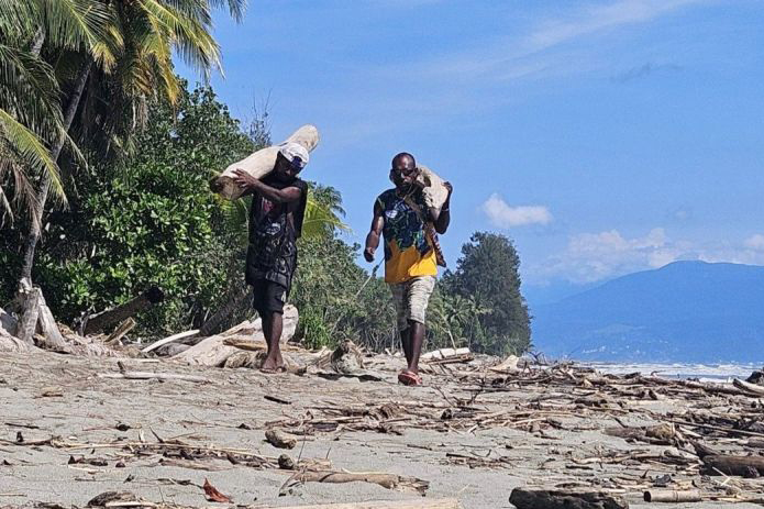 Warga Skouw Sae Papua manfaatkan kayu hanyut untuk cofiring biomassa