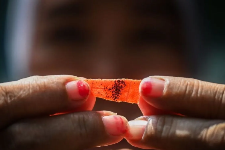 Penyebaran bibit nyamuk wolbachia di Kembangan berhasil dituntaskan