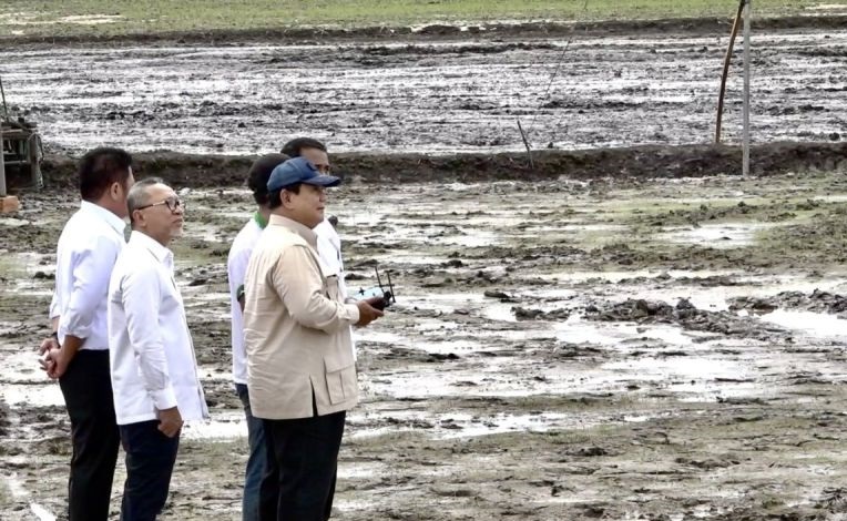 Tanam raya dan terobosan cerdas menggenjot produksi pangan Tanam raya dan terobosan cerdas menggenjot produksi pangan