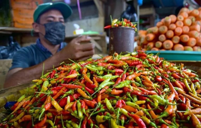 Bapanas: Harga cabai rawit Rp43.951/kg, bawang merah Rp36.412/kg