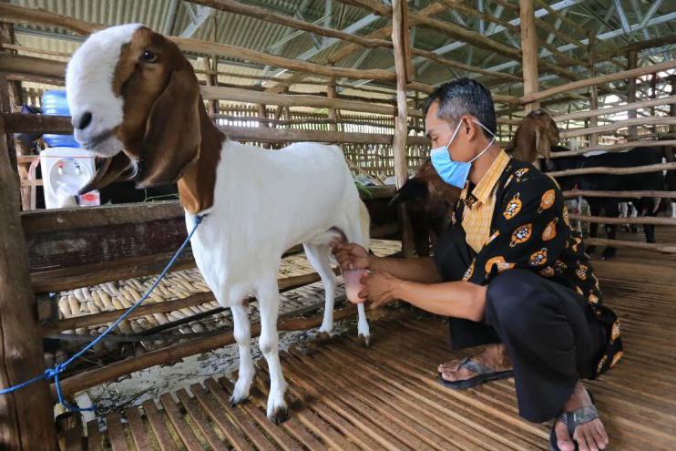 Kementan pastikan terus dorong hilirisasi riset peternakan