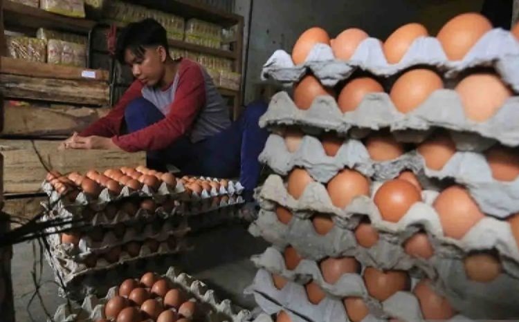 Bapanas: Harga telur ayam Rp29.193/kg, bawang merah Rp37.049/kg Bapanas: Harga telur ayam Rp29.193/kg, bawang merah Rp37.049/kg