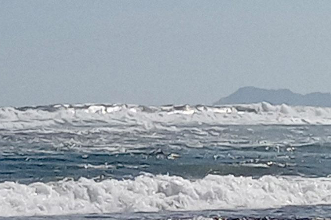 BMKG: Waspadai gelombang tinggi di laut Selatan Jateng BMKG: Waspadai gelombang tinggi di laut Selatan Jateng