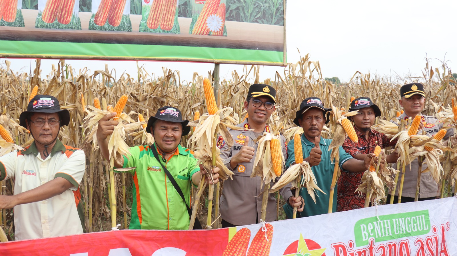 Dukungan kapolres dan pemerintah daerah warnai panen raya jagung di Brekat