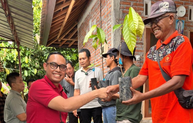 OJK Bali dan Pemkab Jembrana serahkan bantuan bibit kakao ke petani