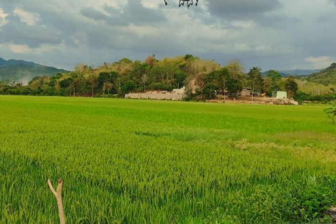 Pupuk Indonesia pastikan stok pupuk subsidi tercukupi di Mabar Pupuk Indonesia pastikan stok pupuk subsidi tercukupi di Mabar