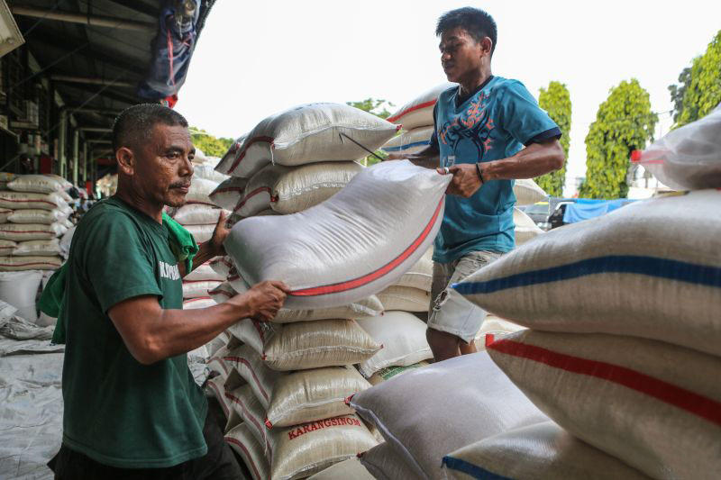 Bulog Jakarta dan Banten optimalkan penyerapan beras hasil petani Bulog Jakarta dan Banten optimalkan penyerapan beras hasil petani