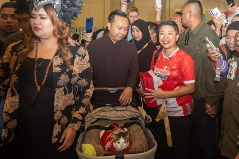 Legislator DKI memenangkan lelang baju eksklusif kucing milik Presiden