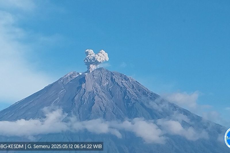 Semeru erupsi disertai letusan setinggi 700 meter di atas puncak Semeru erupsi disertai letusan setinggi 700 meter di atas puncak