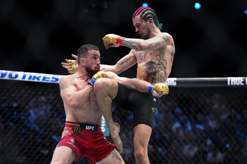 UFC rilis poster UFC 316 yang menampilkan dua laga perebutan gelar UFC rilis poster UFC 316 yang menampilkan dua laga perebutan gelar