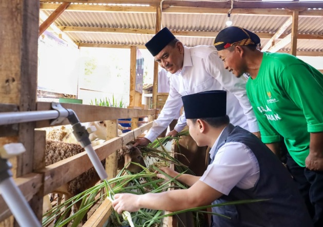 BAZNAS luncurkan Balai Ternak di Trenggalek, berdayakan ekonomi mustahik BAZNAS luncurkan Balai Ternak di Trenggalek, berdayakan ekonomi mustahik
