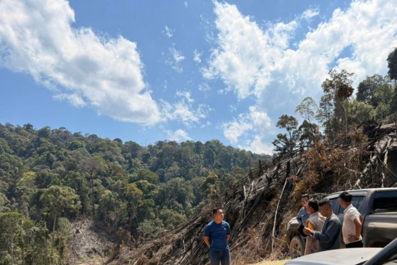 Polres Rohul Riau bekuk tiga orang pembakar hutan produksi terbatas