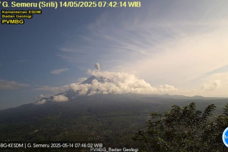 Gunung Semeru kembali erupsi dengan tinggi letusan 1.000 meter