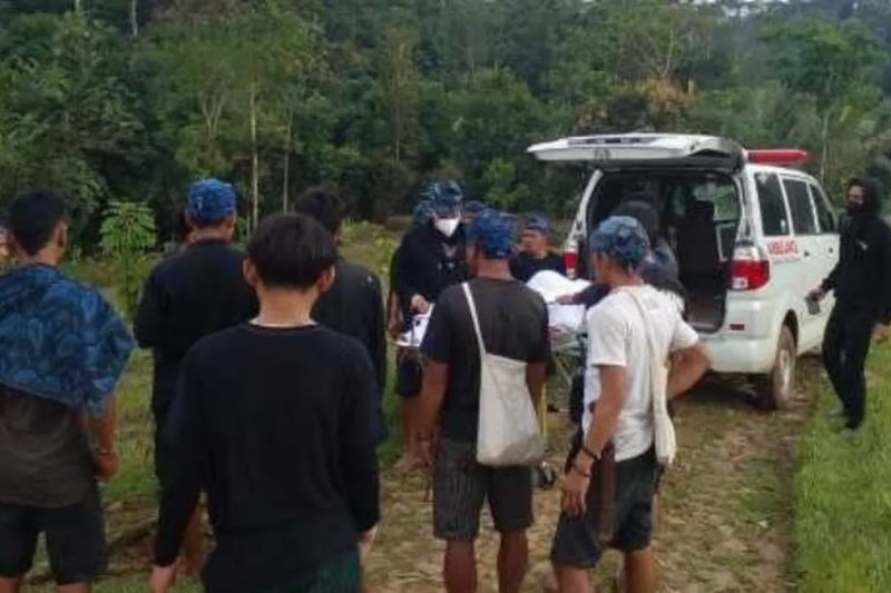 Dinas Kesehatan Lebak mendata 247 warga korban gigitan ular berbisa Dinas Kesehatan Lebak mendata 247 warga korban gigitan ular berbisa