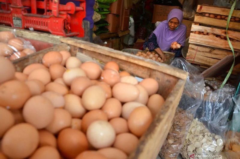 Bapanas: Harga telur ayam Rp28.933/kg, bawang merah Rp37.407/kg Bapanas: Harga telur ayam Rp28.933/kg, bawang merah Rp37.407/kg