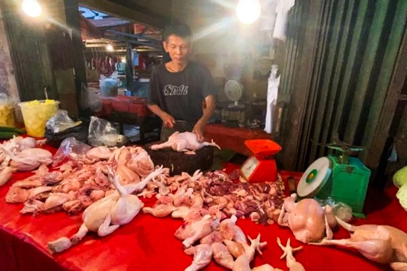 Bapanas: Harga bawang merah Rp38.835/kg, daging ayam Rp34.993/kg Bapanas: Harga bawang merah Rp38.835/kg, daging ayam Rp34.993/kg